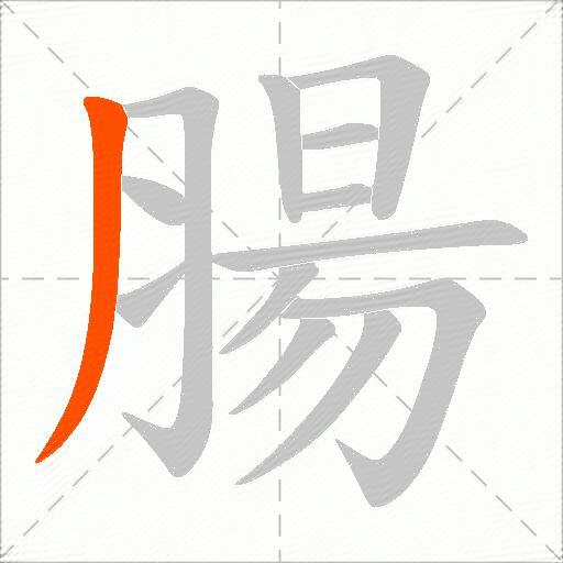 腸