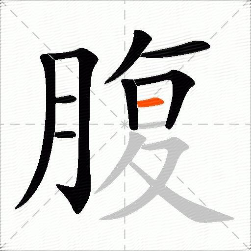 腹