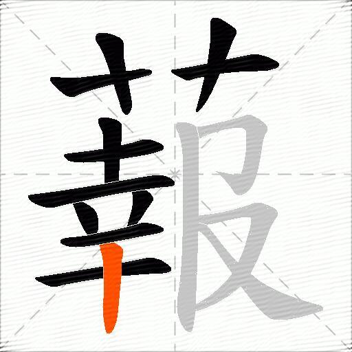蕔