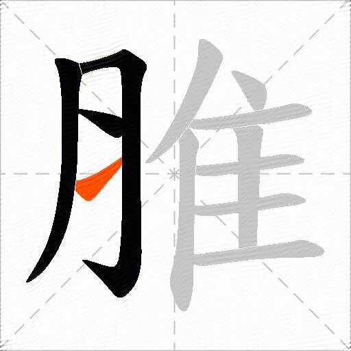 脽