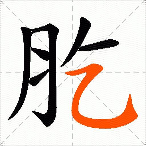 肐