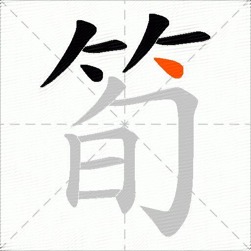 筍