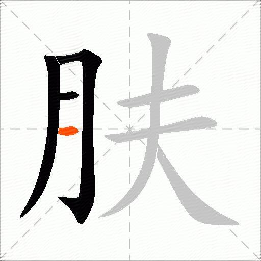 肤