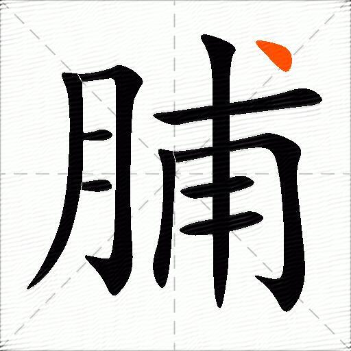 脯