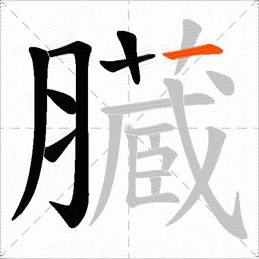 臓