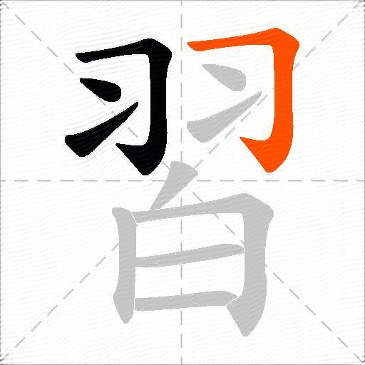 習