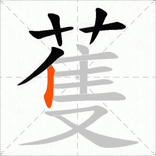 蒦