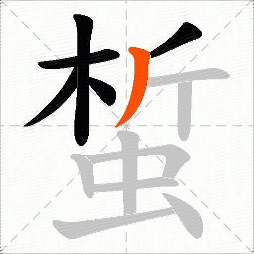 蜤