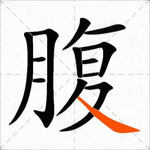 腹