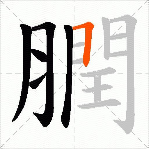 膶