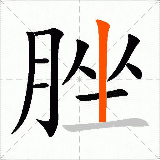 脞