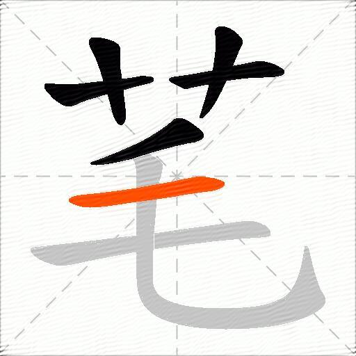 芼