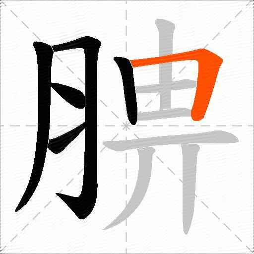 腗
