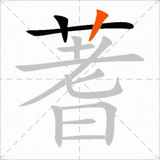 蓍