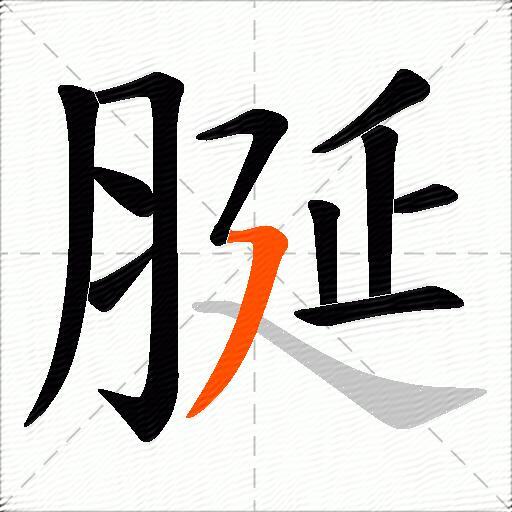 脠