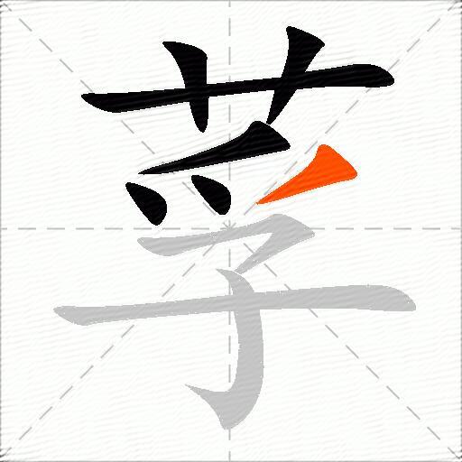 莩