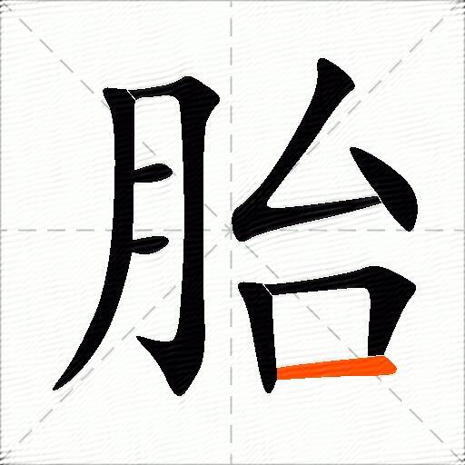 胎