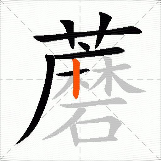 蘑