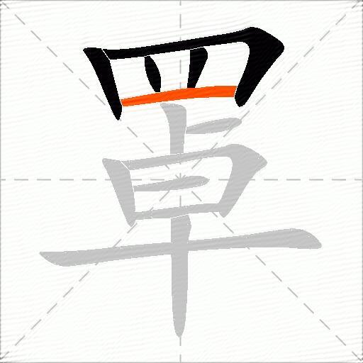 罩