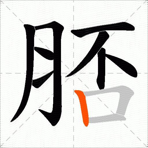 脴