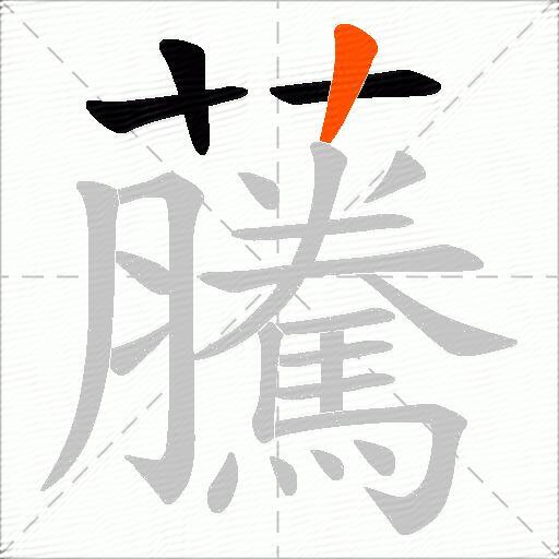虅