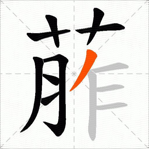 葄
