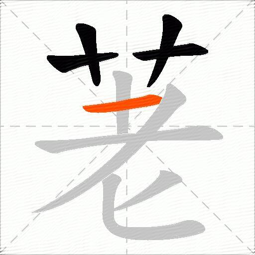 荖