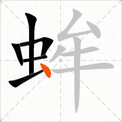 蛑