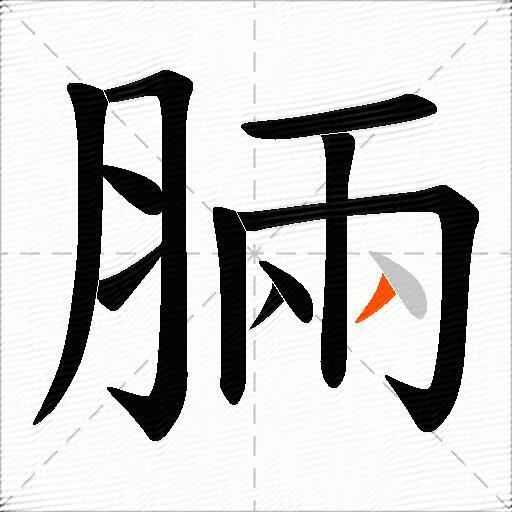脼