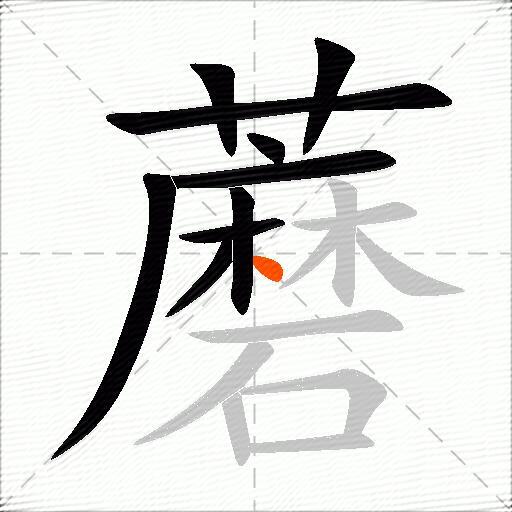 蘑