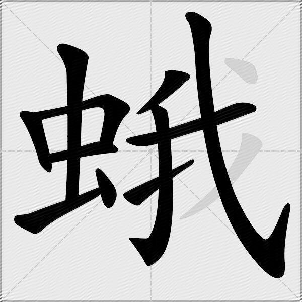 蛾