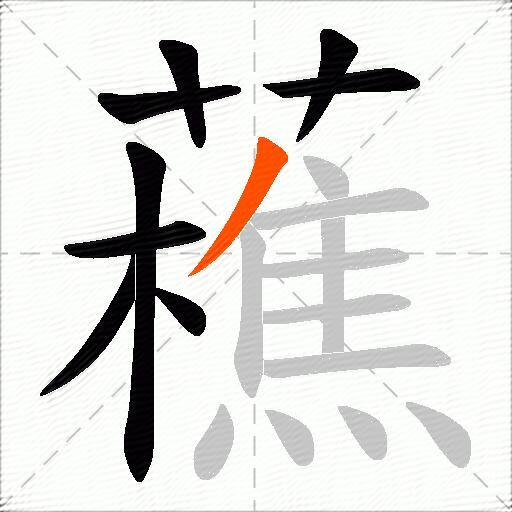 藮