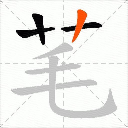 芼