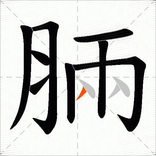脼