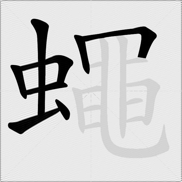 蠅