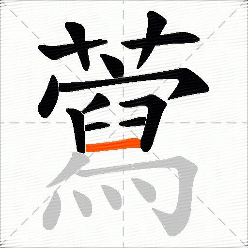 藛