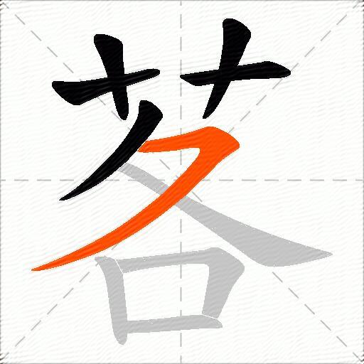 茖