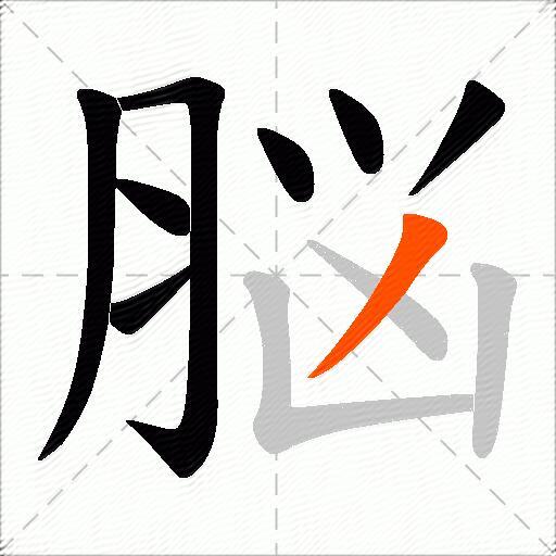 脳