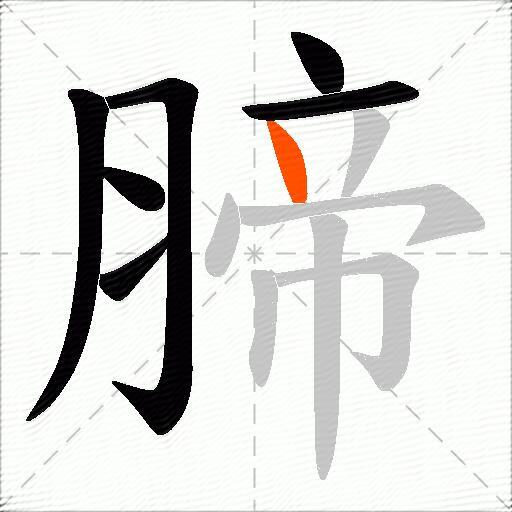 腣