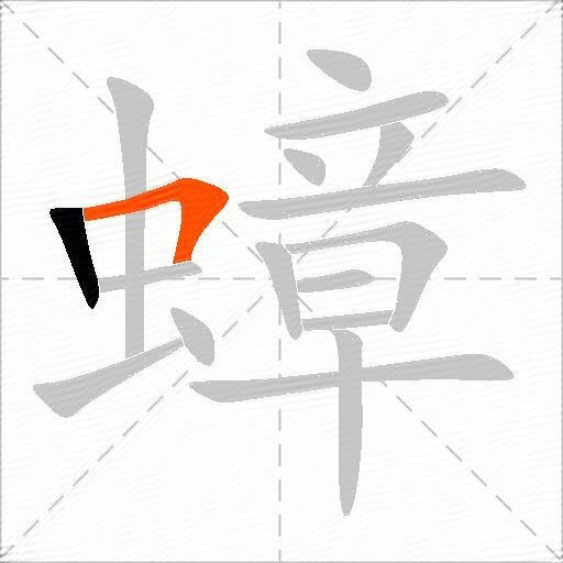 蟑
