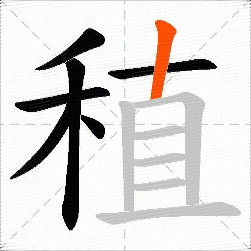 稙