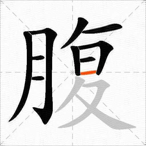 腹