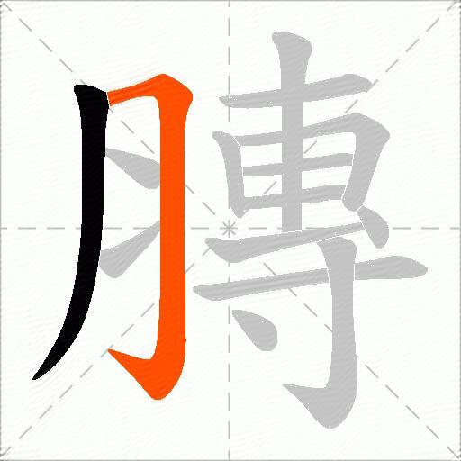 膞