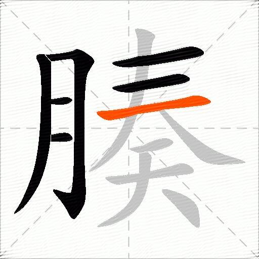 腠