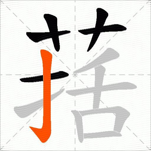 葀