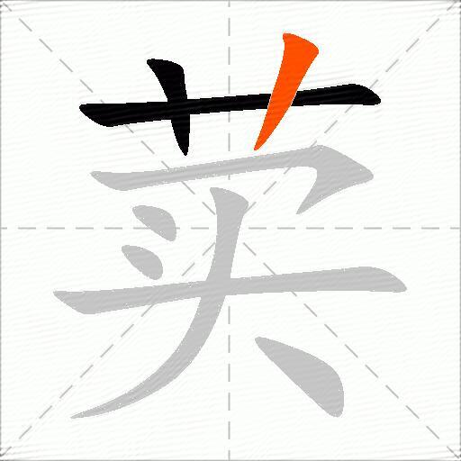 荬