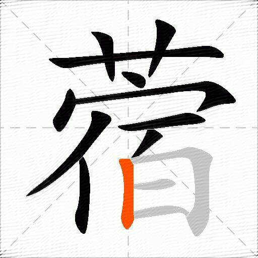蓿