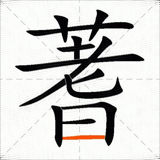蓍