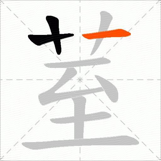 荎