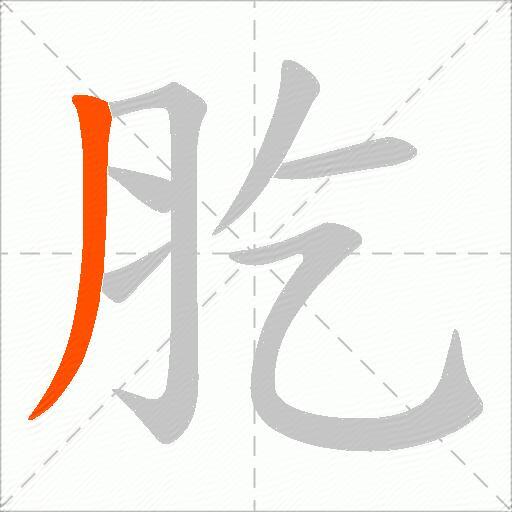 肐